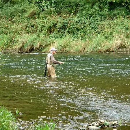 Haus Wallstein Hotel 2*