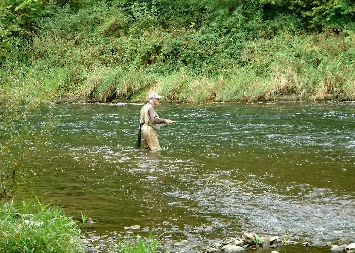 Haus Wallstein Hotell 2*